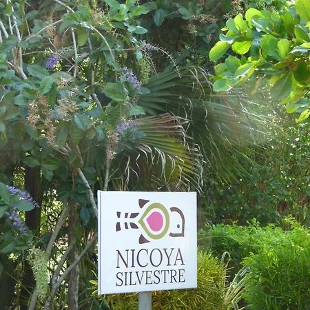 Nicoya Silvestre Apartment Lepanto Exterior photo