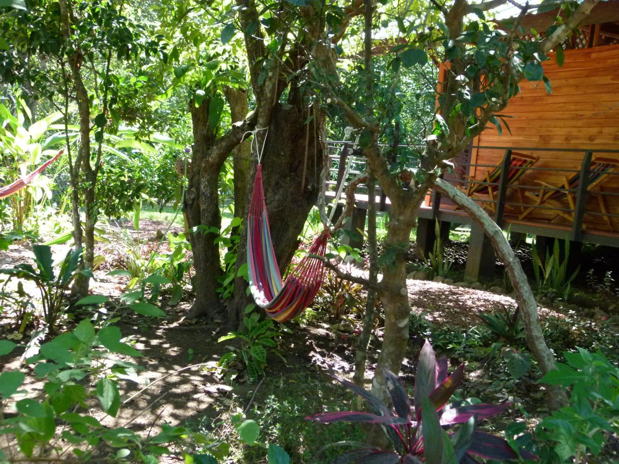 Nicoya Silvestre Apartment Lepanto