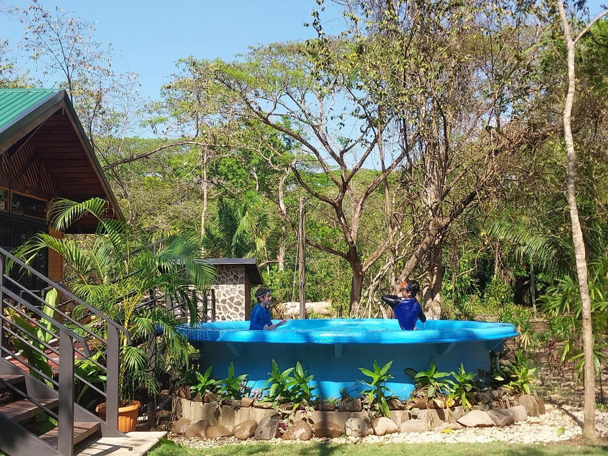 Nicoya Silvestre Apartment