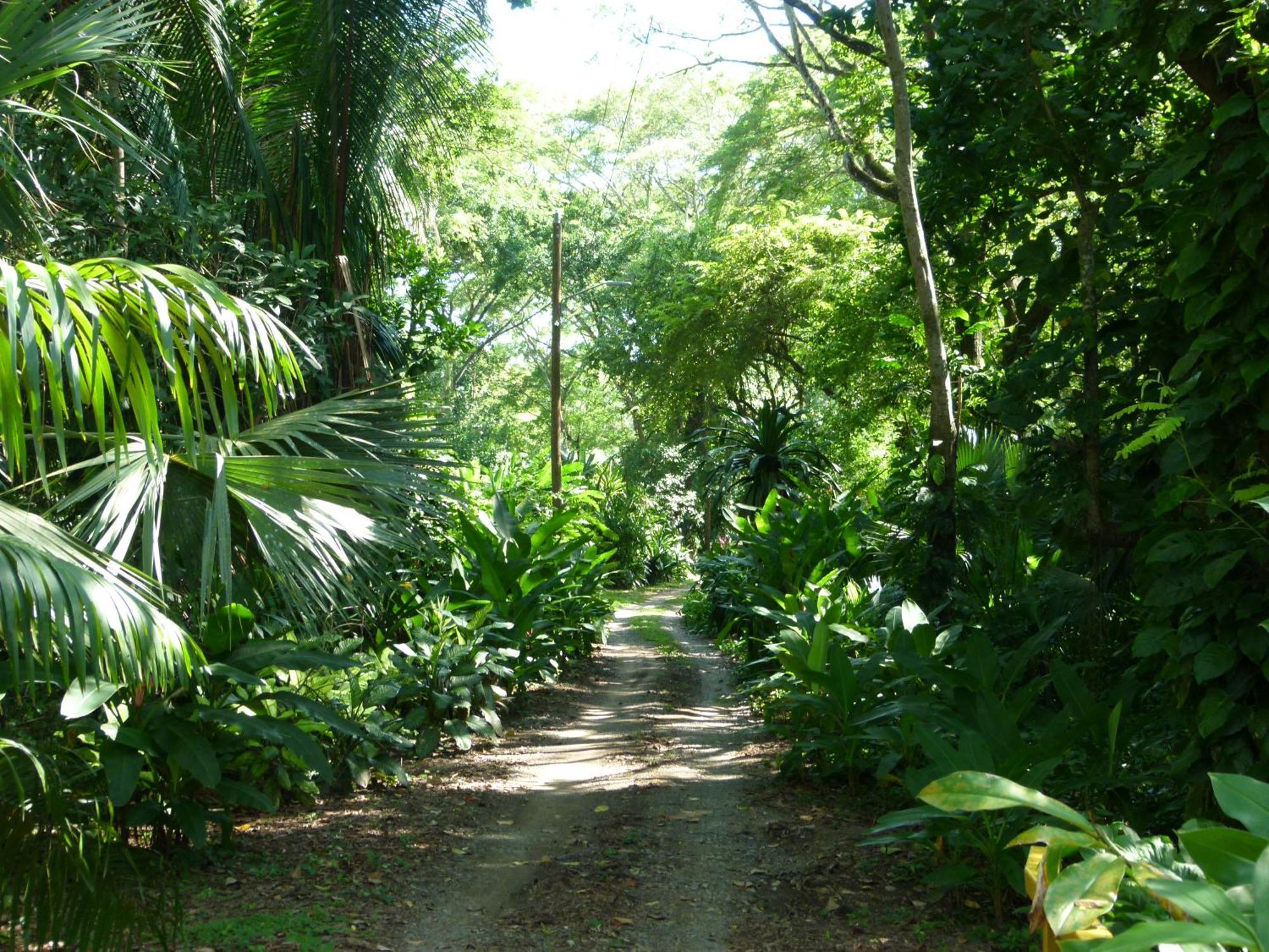 Apartment Nicoya Silvestre *