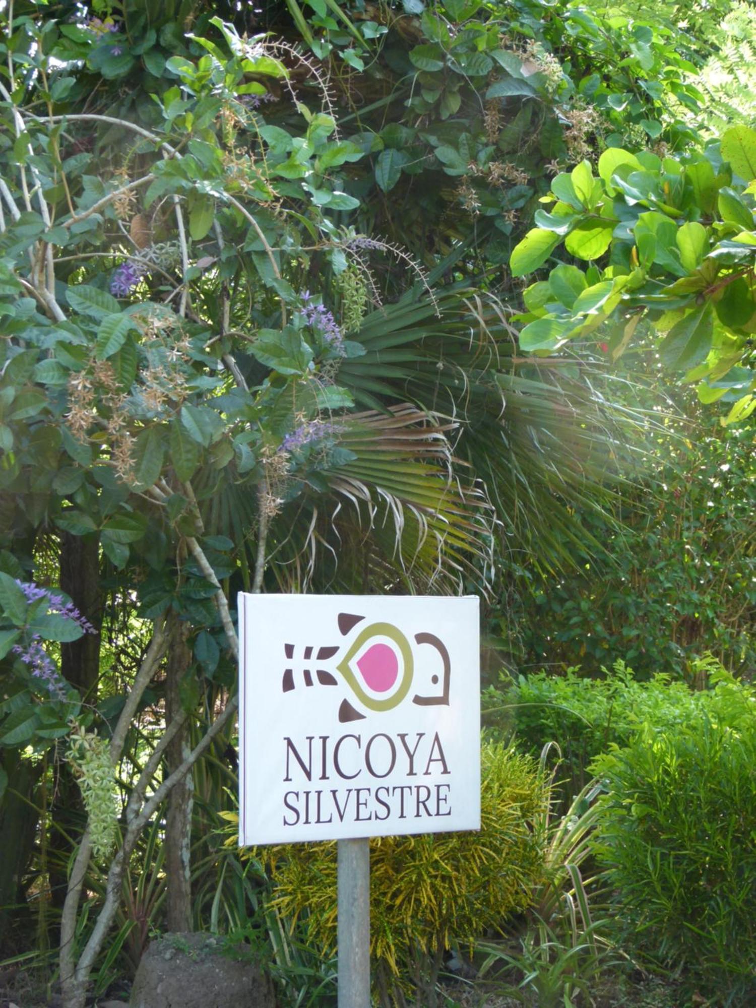 Apartment Nicoya Silvestre